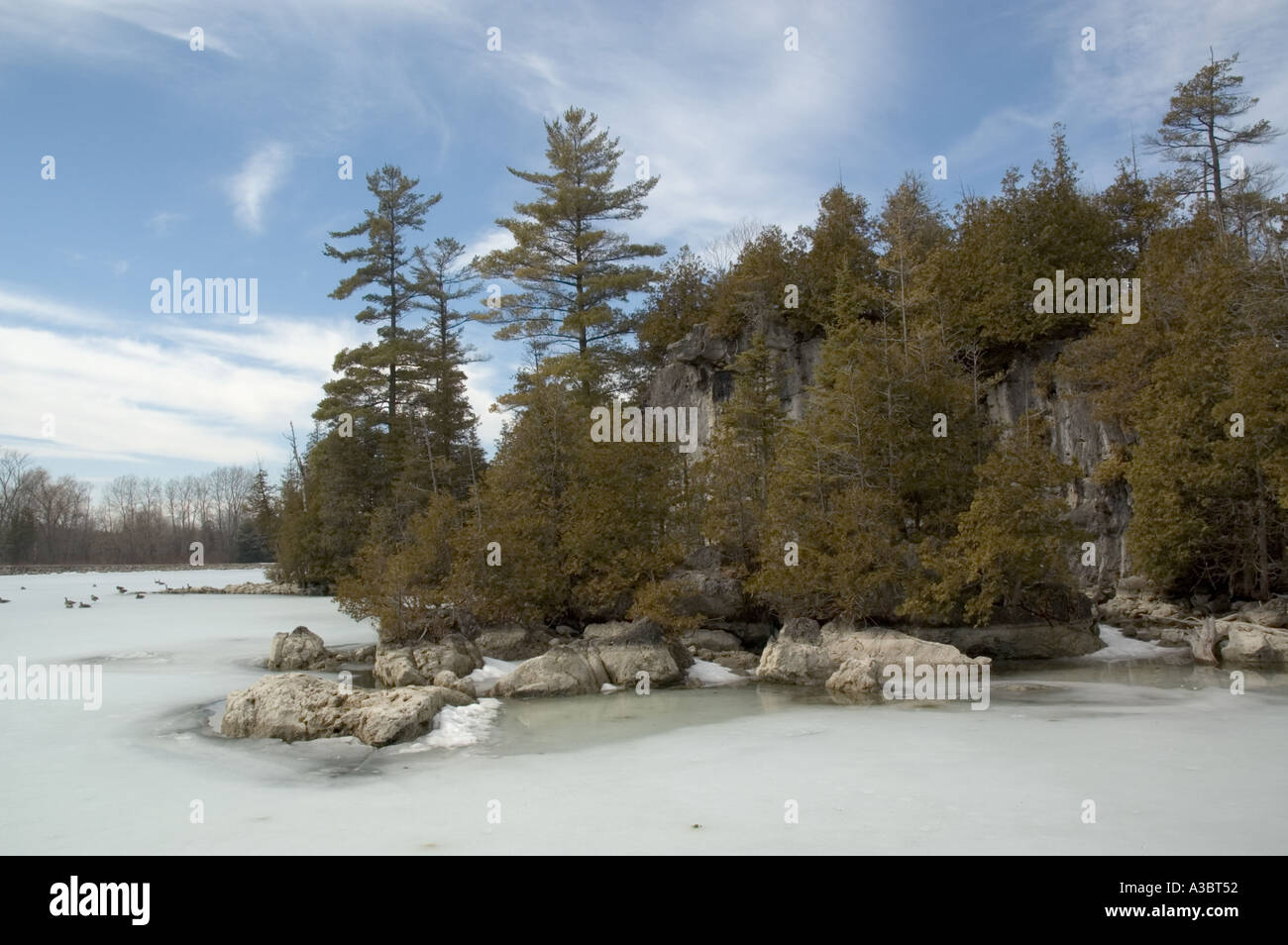 Di pino e di foreste di cedro durante il disgelo invernale nella scarpata in paese in Ontario Canada Foto Stock