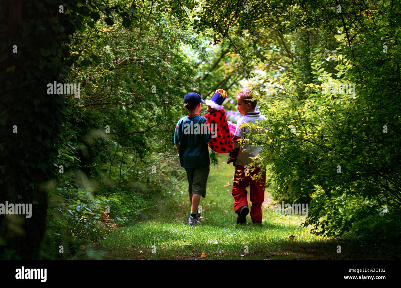 TEDDY BEAR PICNIC giardini inglesi alimentare FUN ORSACCHIOTTO Foto Stock