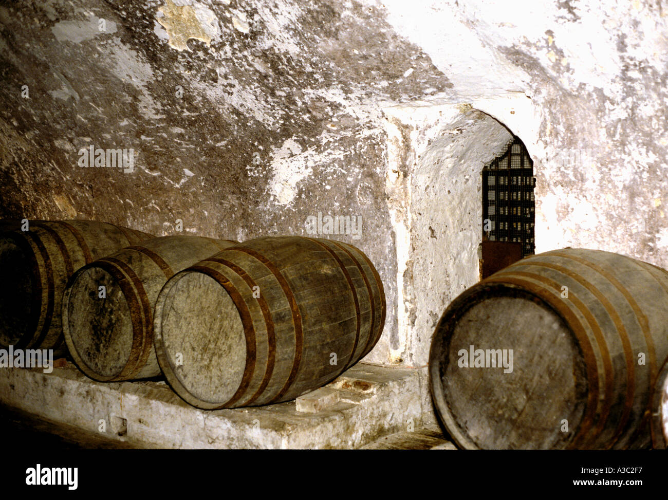 Botti di vino Foto Stock