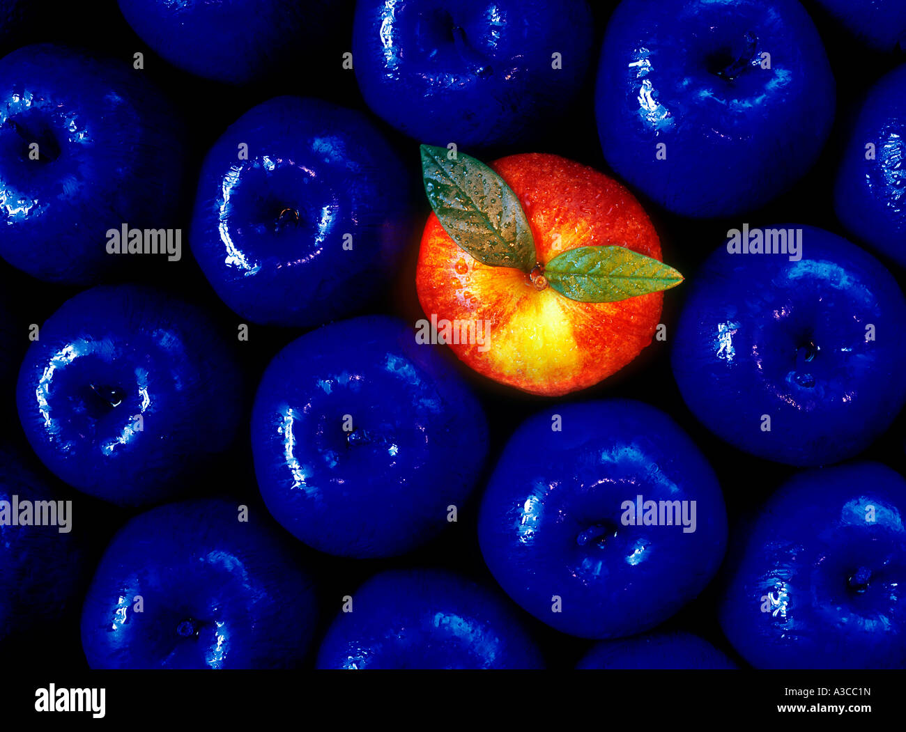 Mele blu immagini e fotografie stock ad alta risoluzione - Alamy