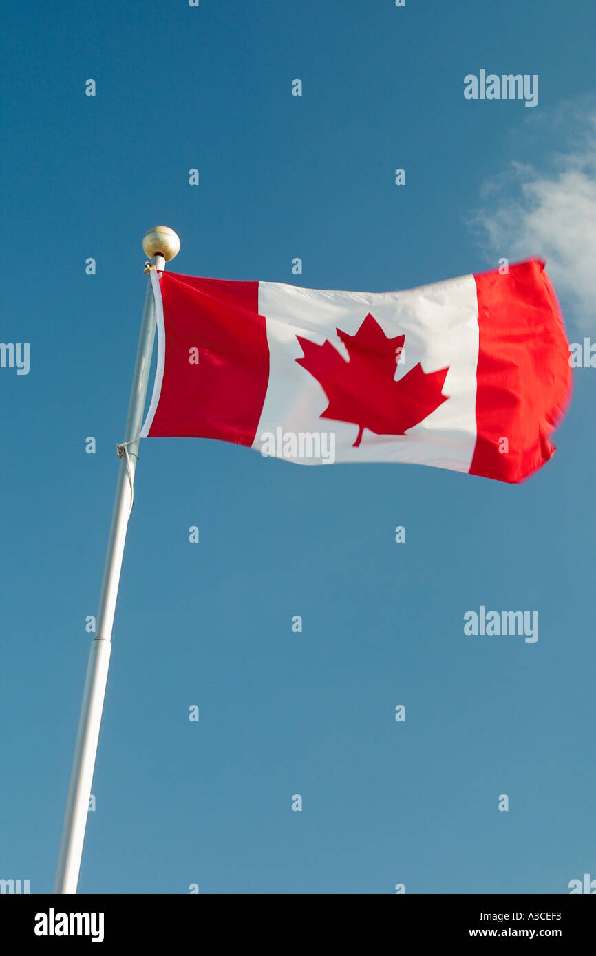 Bandiera canadese contro il cielo blu Foto Stock