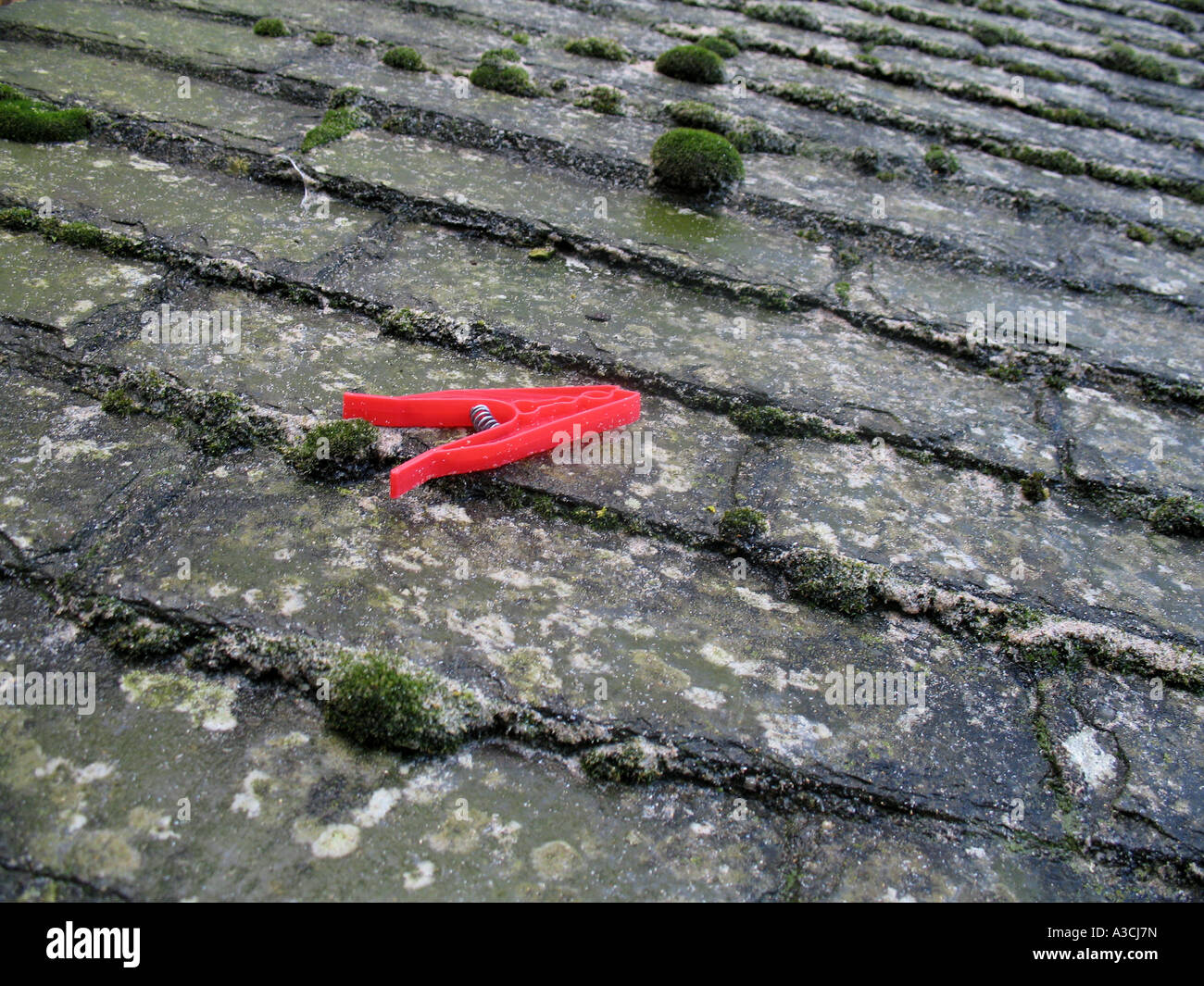 Vestiti di rosso peg sul tetto in ardesia St. Ives Cornwall Regno Unito Foto Stock