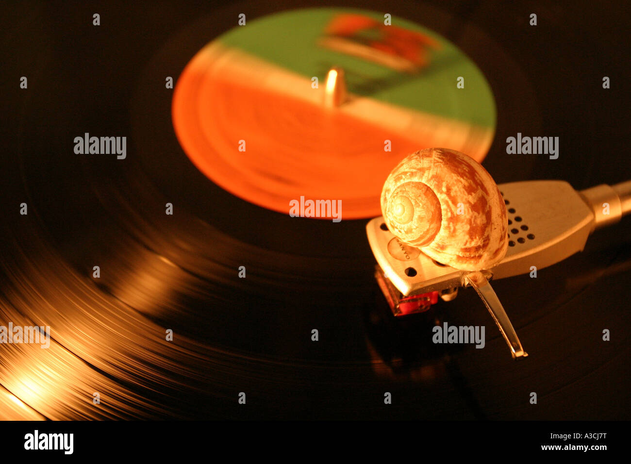 Record di vinile spinning con lo stilo il braccio e il guscio di lumaca Foto Stock