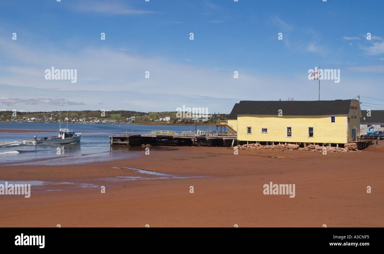 Canada Prince Edward Island Nord rustico del porto di pesca di lobster boat entrando in porto Foto Stock