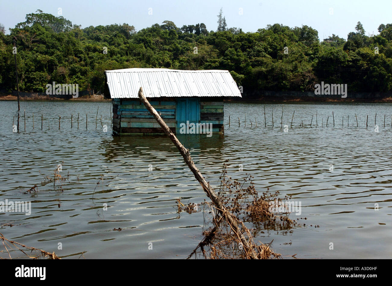VCA76791 inondati di scena del campo dopo lo tsunami Port Blair isola delle Andamane India Foto Stock