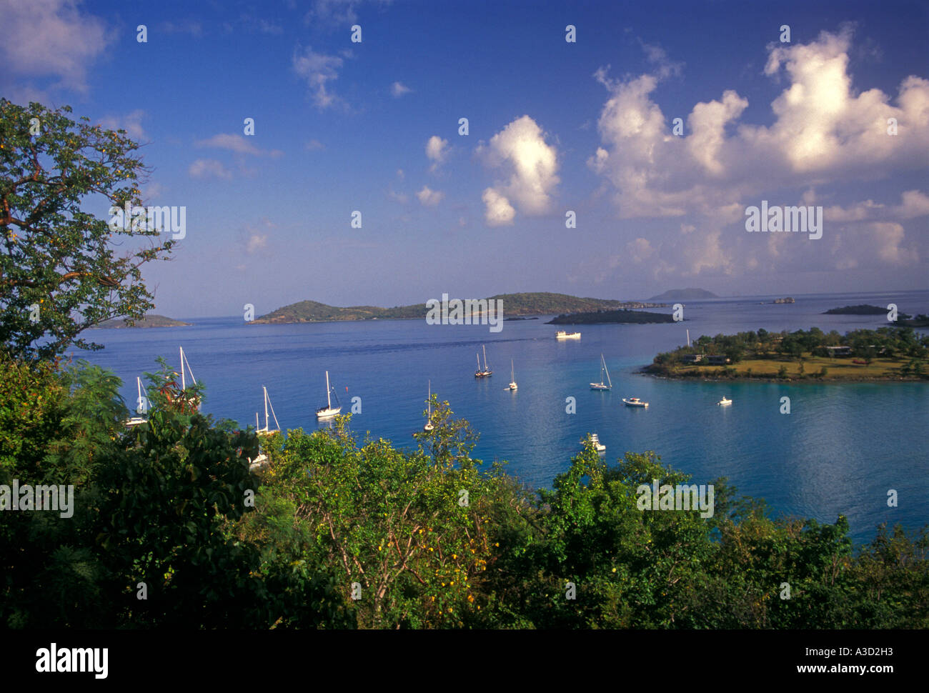 Barche a vela, Cruz Bay Harbor, Cruz Bay, San Giovanni, San Giovanni, Isole Vergini degli Stati Uniti d'America, Stati Uniti, Isole Vergini, USVI Foto Stock