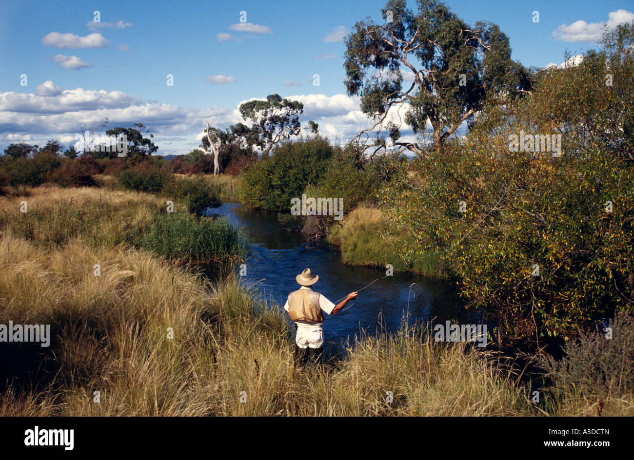 Pesca alla trota di fiume Macquarie vicino Cressy a nord-est della Tasmania Australia orizzontale Foto Stock