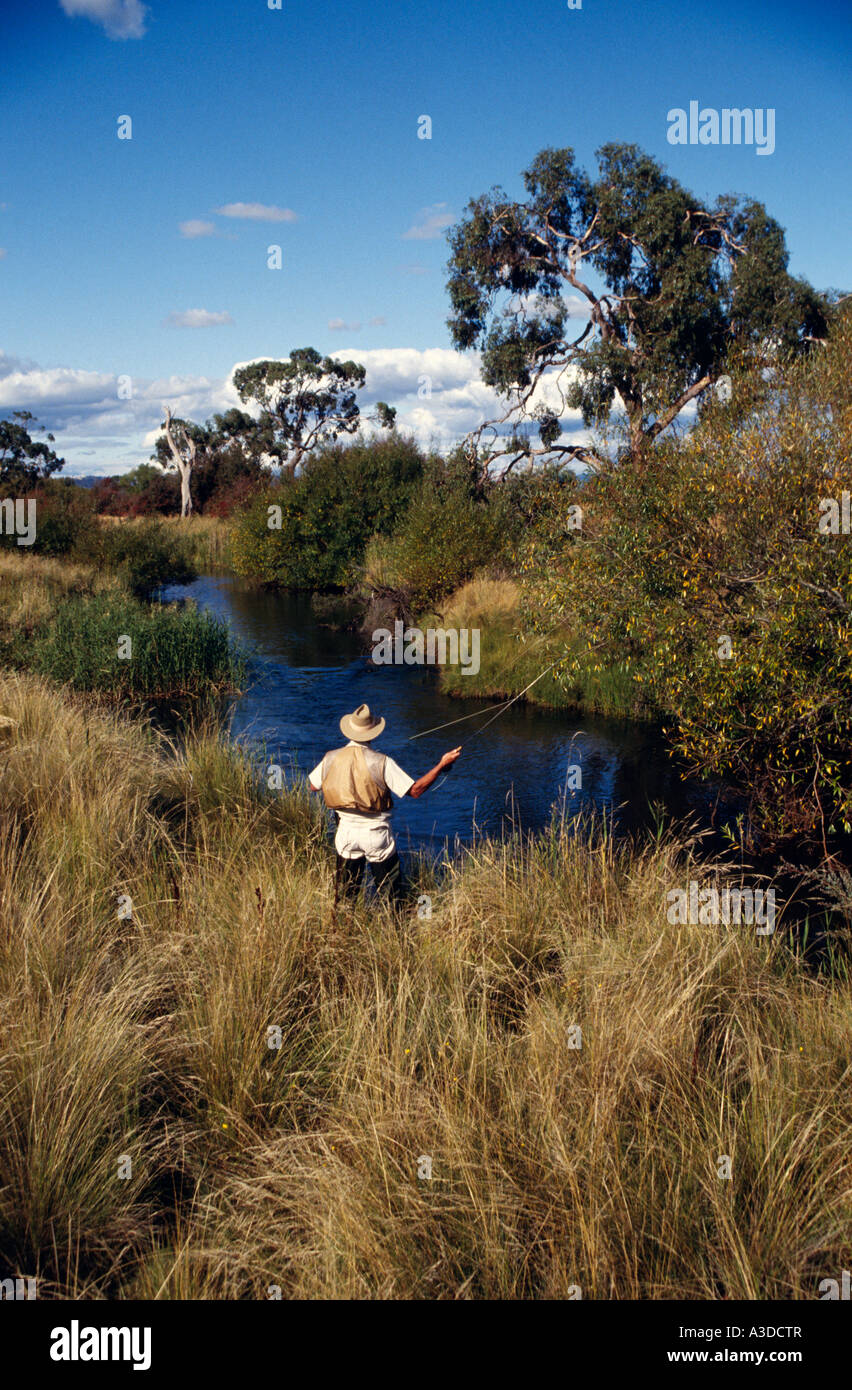 Pesca alla trota di fiume Macquarie vicino Cressy a nord-est della Tasmania Australia verticale Foto Stock