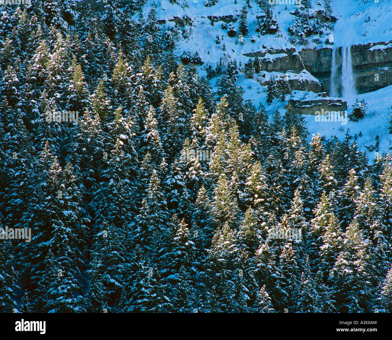 Dietro a valanga Evergreen-Covered montagne, Uinta National Forest, Utah, Stati Uniti d'America Foto Stock