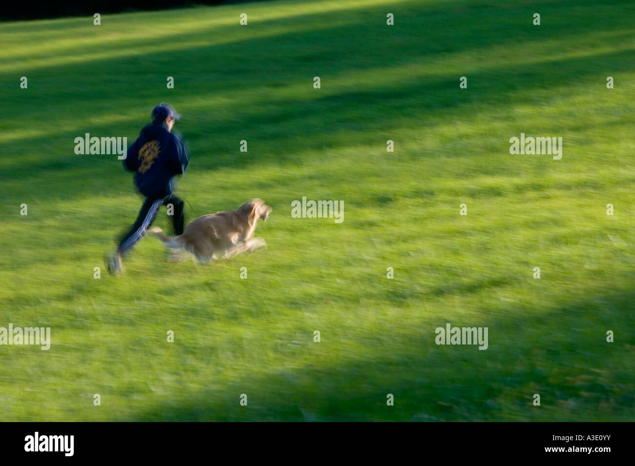 Ragazzo adolescente in esecuzione con il suo Golden Retriever cane nel verde dei campi erbosi di un parco. Foto Stock