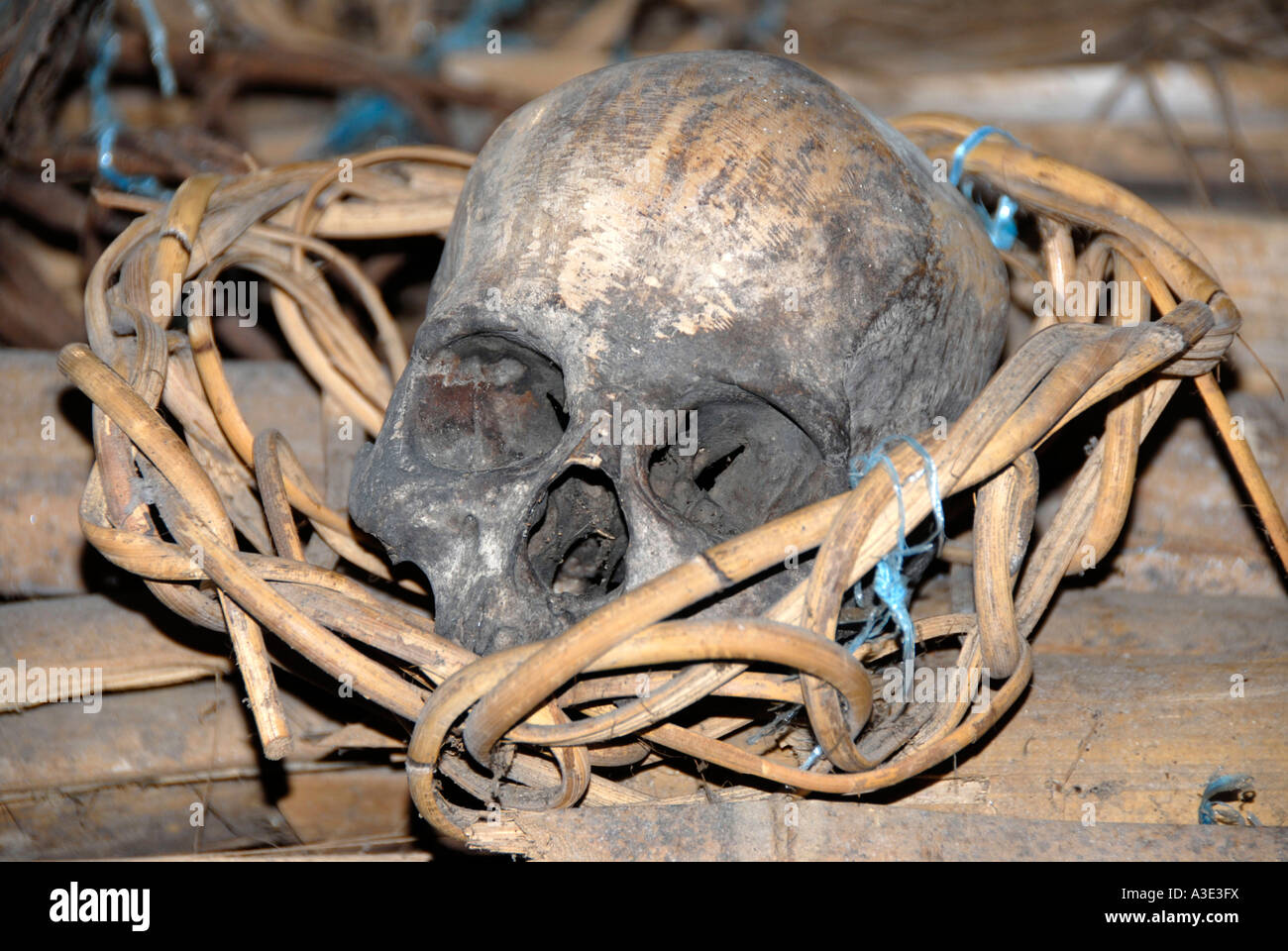 Headhunter scull umana in Bidayuh longhouse in Kampong Padawan Sarawak Borneo Malaysia Foto Stock