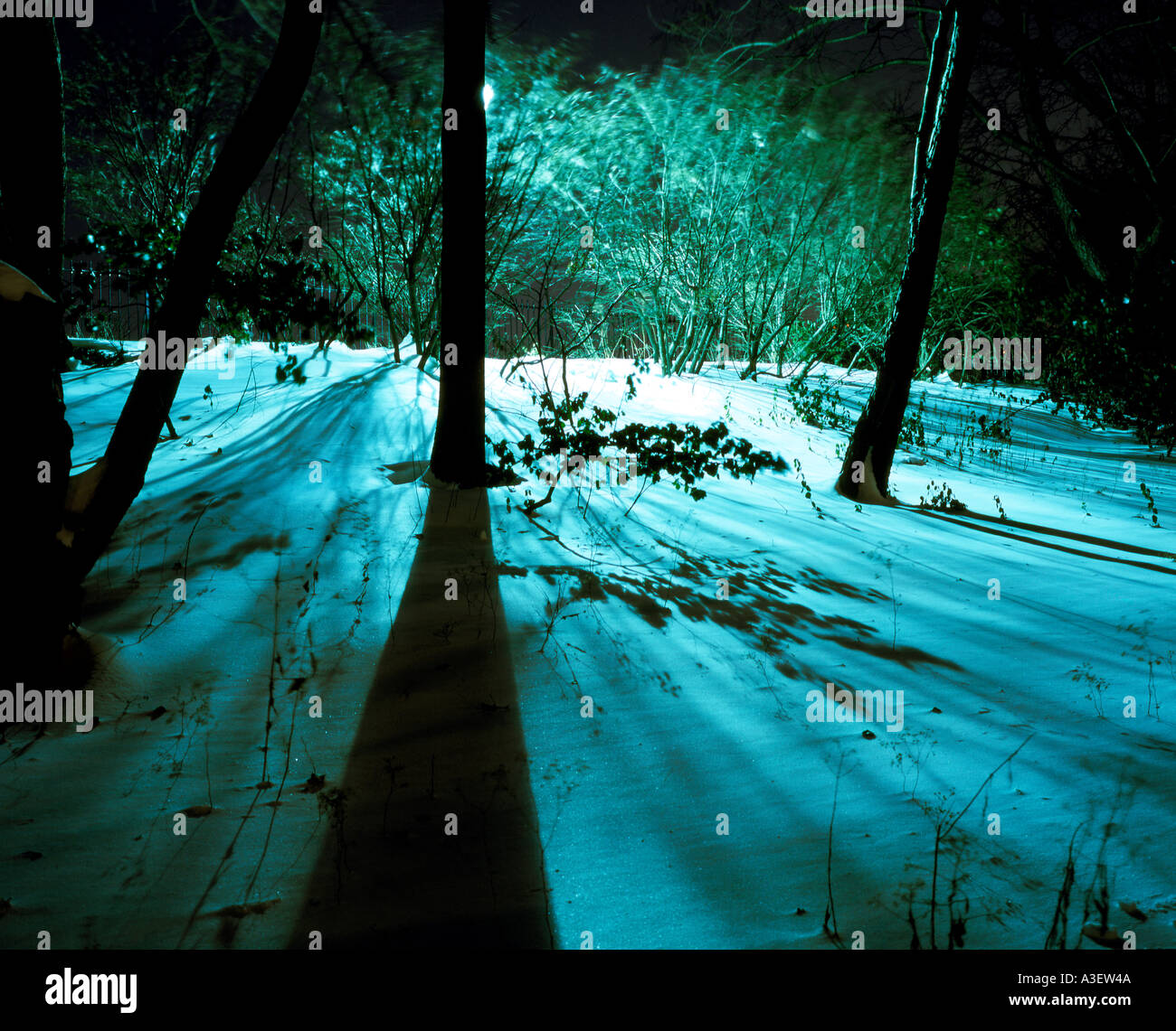 Tempo di notte a Central Park Foto Stock