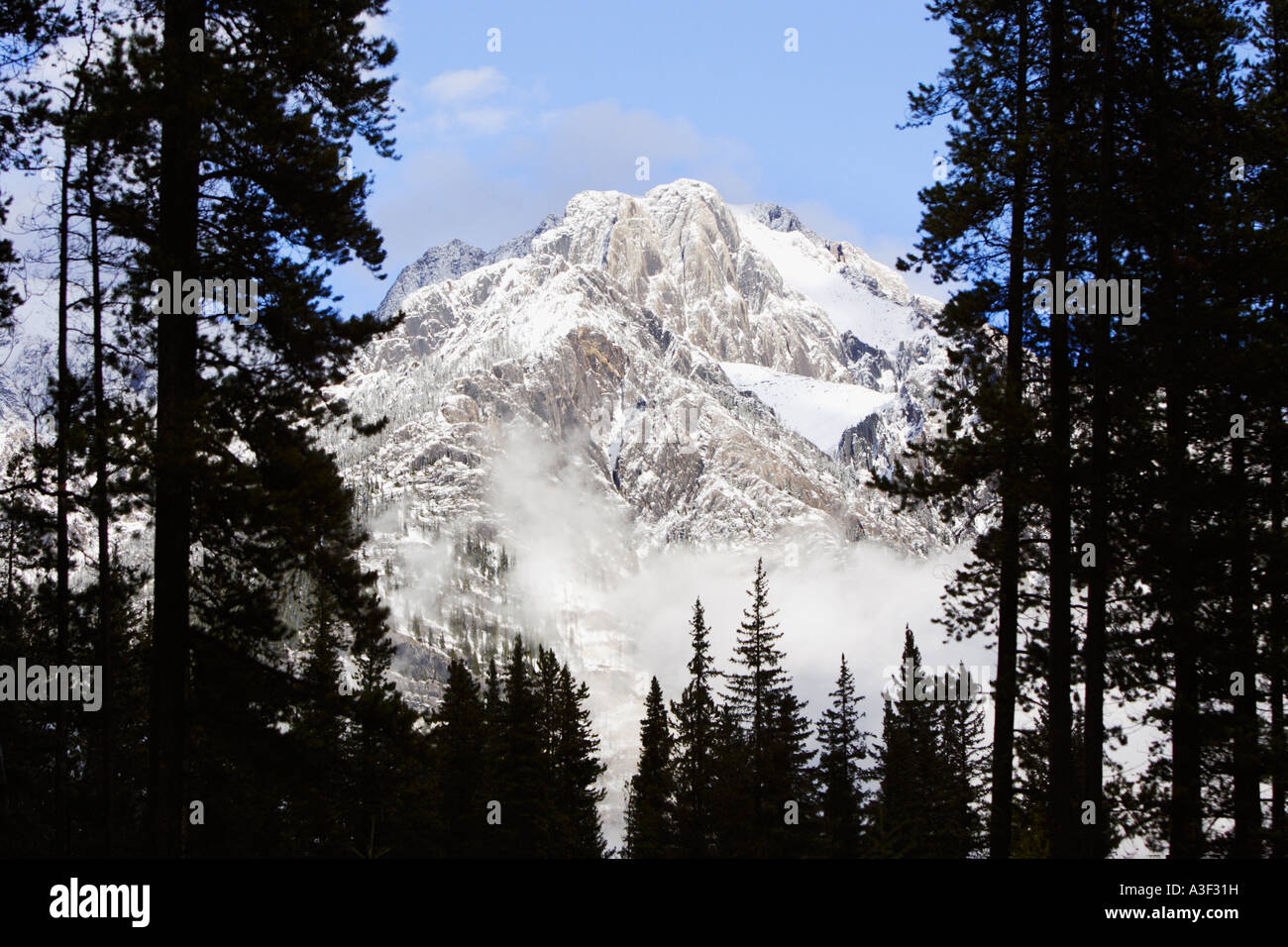 Le Cascade Mountains nel Parco Nazionale di Banff, Alberta, Canada Foto Stock