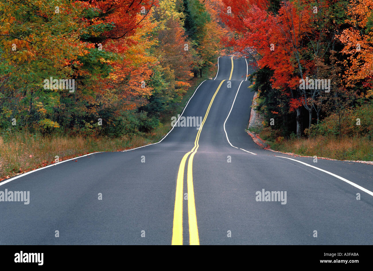 Stati Uniti d'America Vermont strada in autunno Foto Stock