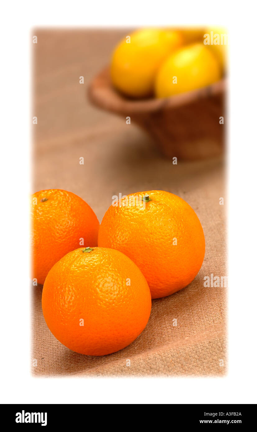 Arancione e limoni su uno sfondo di Hesse Foto Stock