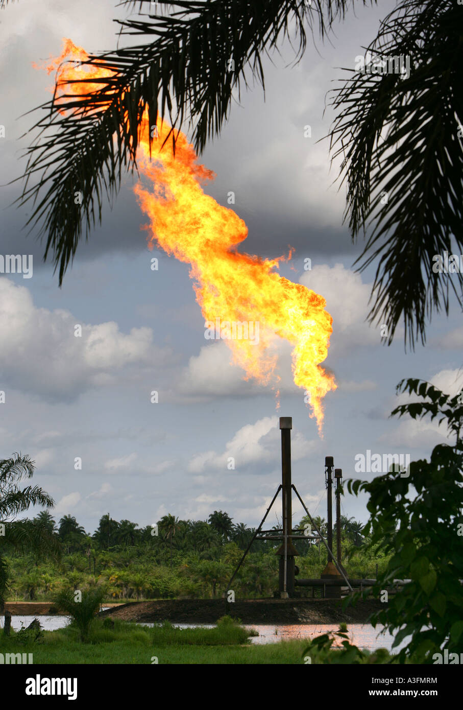 La Nigeria, inquinamento ambientale bruciando il gas dalla produzione di petrolio nel delta del Niger, Ogoniland Foto Stock