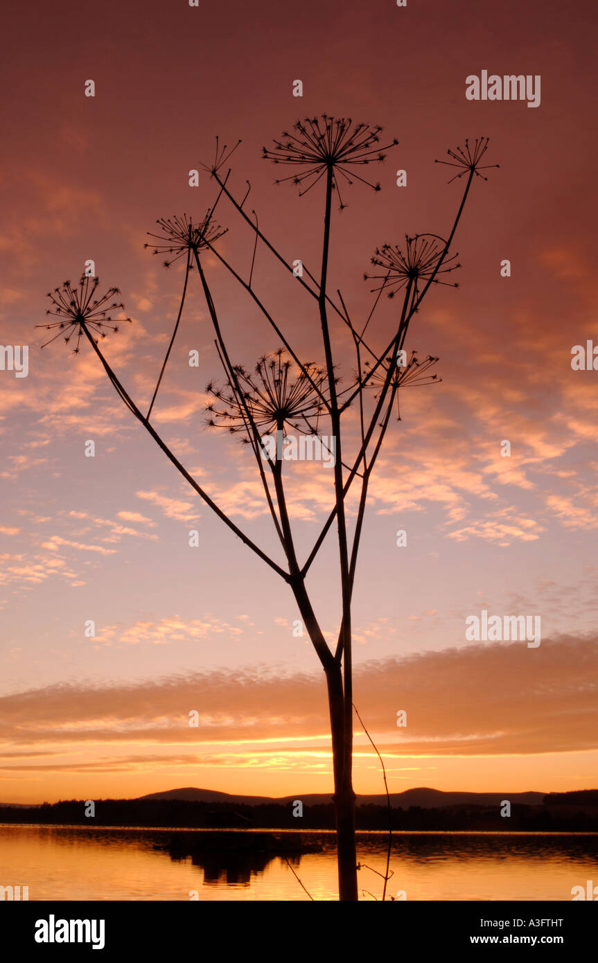Sunset Loch di Skene XPL 4603-433 Foto Stock