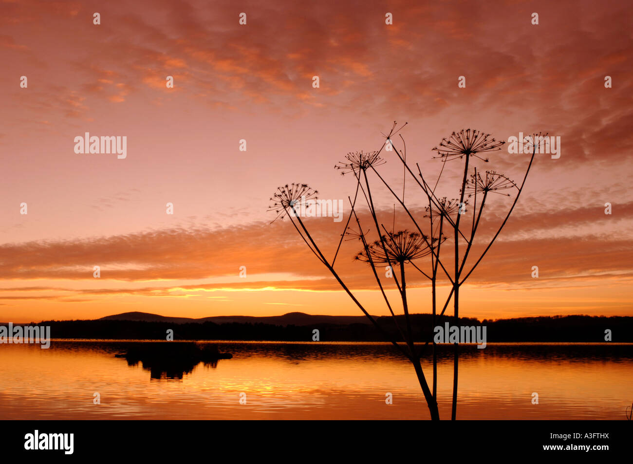 Sunset Loch di Skene XPL 4605-433 Foto Stock