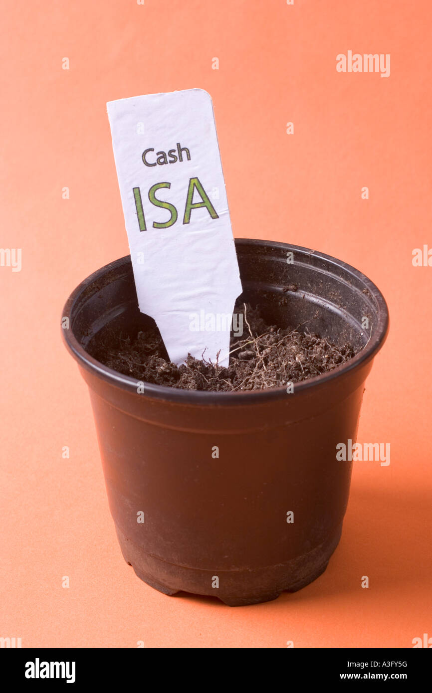 Cash ISA ISA di singoli account di risparmio fiscale del risparmio efficiente etichetta di account in impianti vaso con piccole foglie di germogli Foto Stock