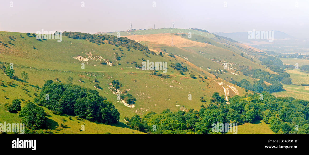 South Downs e weald vista, Inghilterra meridionale, Regno Unito Foto Stock