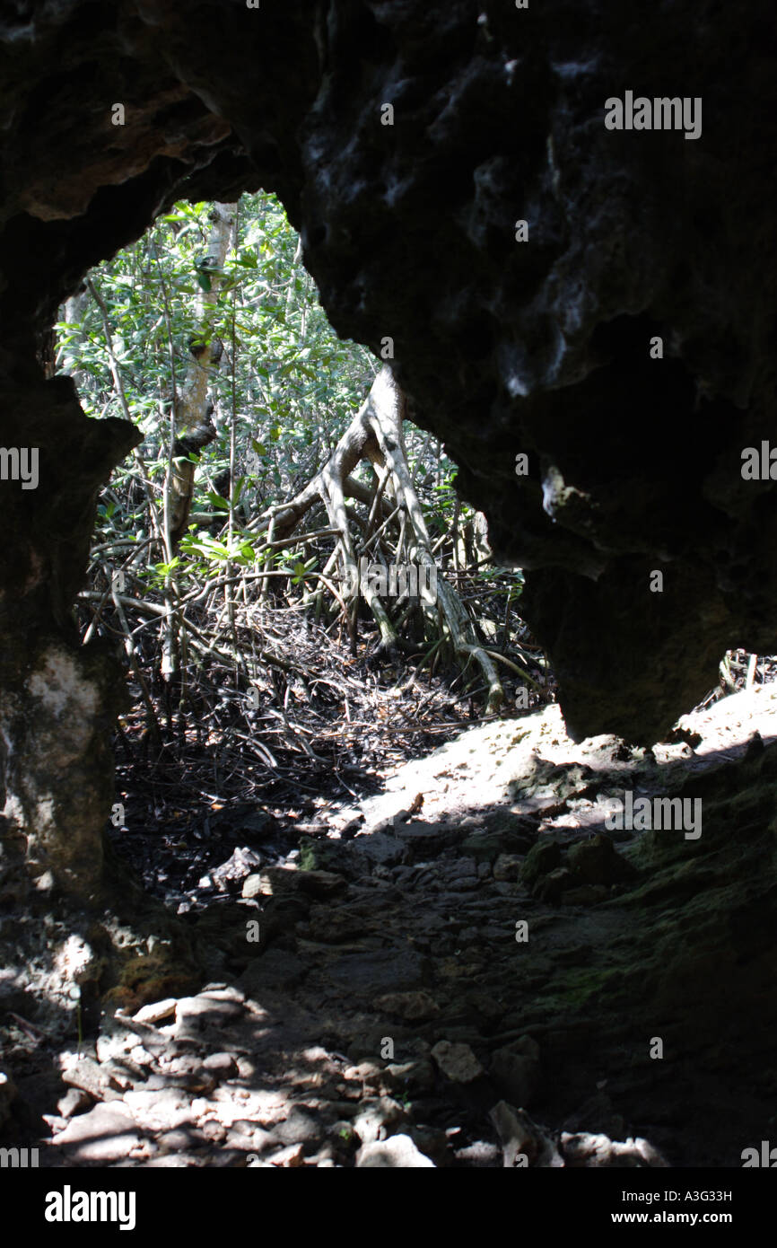 Varahicacos Riserva Ecologica Varadero Cuba Foto Stock