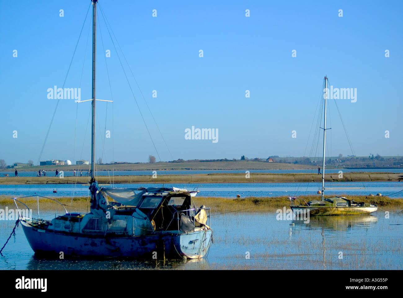 Barche ormeggiate in Gillingham country park Foto Stock