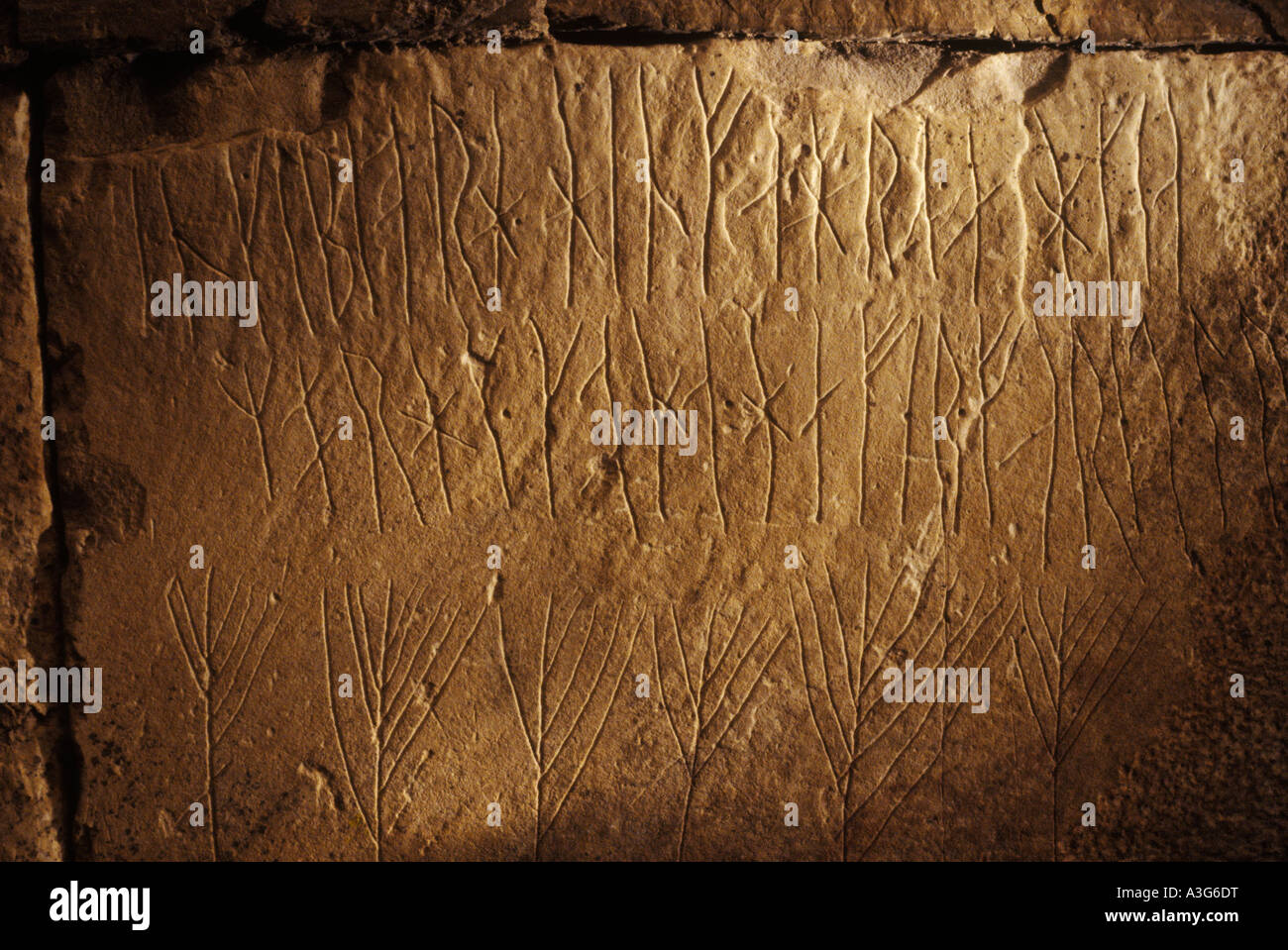 Rune all'interno della camera di sepoltura del Neolitico Maes Howe Maeshowe. Graffiti vichinghi una iscrizione runica Stromness, Mainland Orkney, Scozia UK HOMER SYKES Foto Stock
