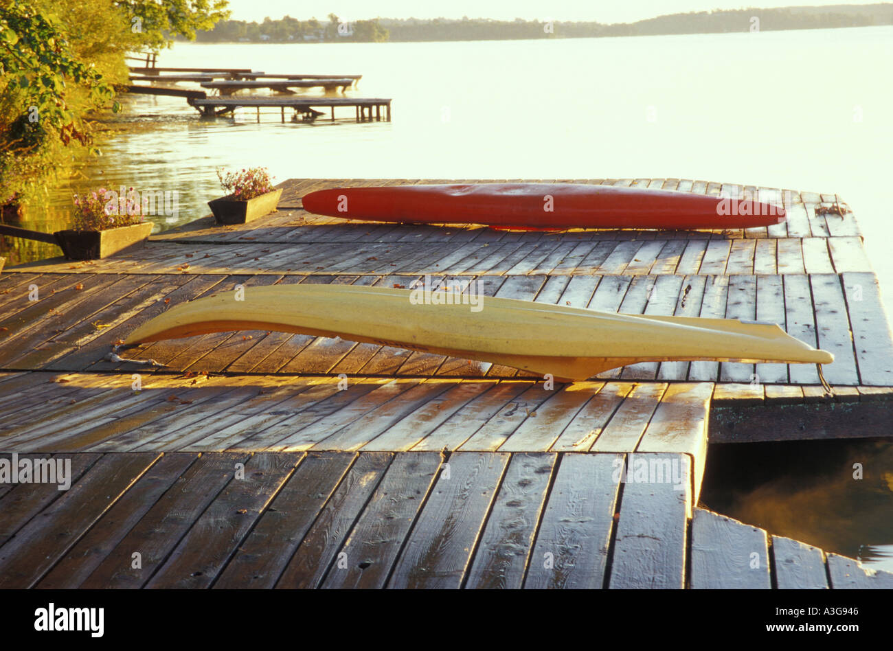 Canoe e web, Lago di riso, Elmhirst's Resort, Keene, Ontario, Canada Foto Stock