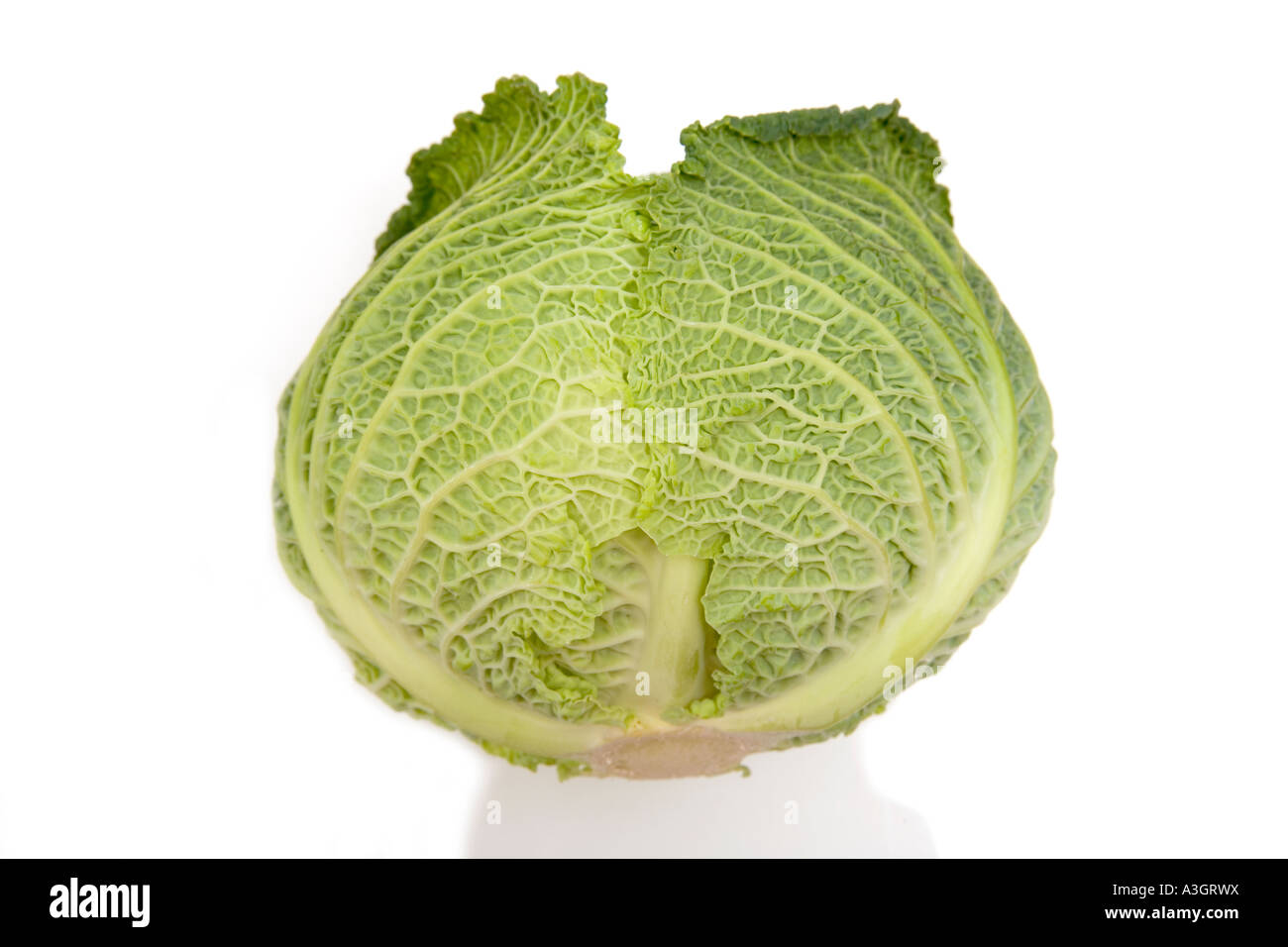 Cavolo verza su una bianca di sfondo per studio. Foto Stock