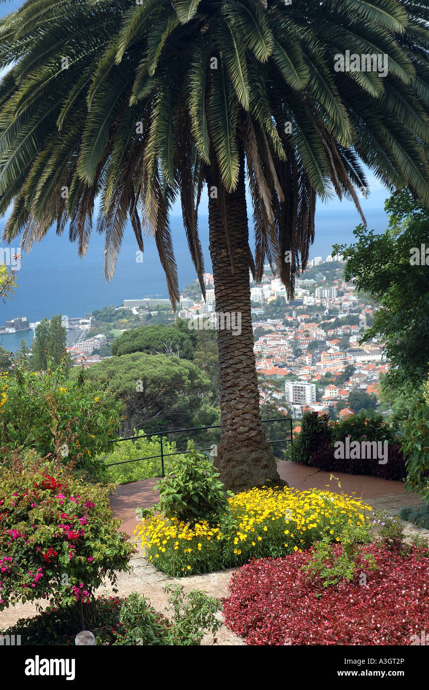 Funchal, Giardini Botanici Foto Stock