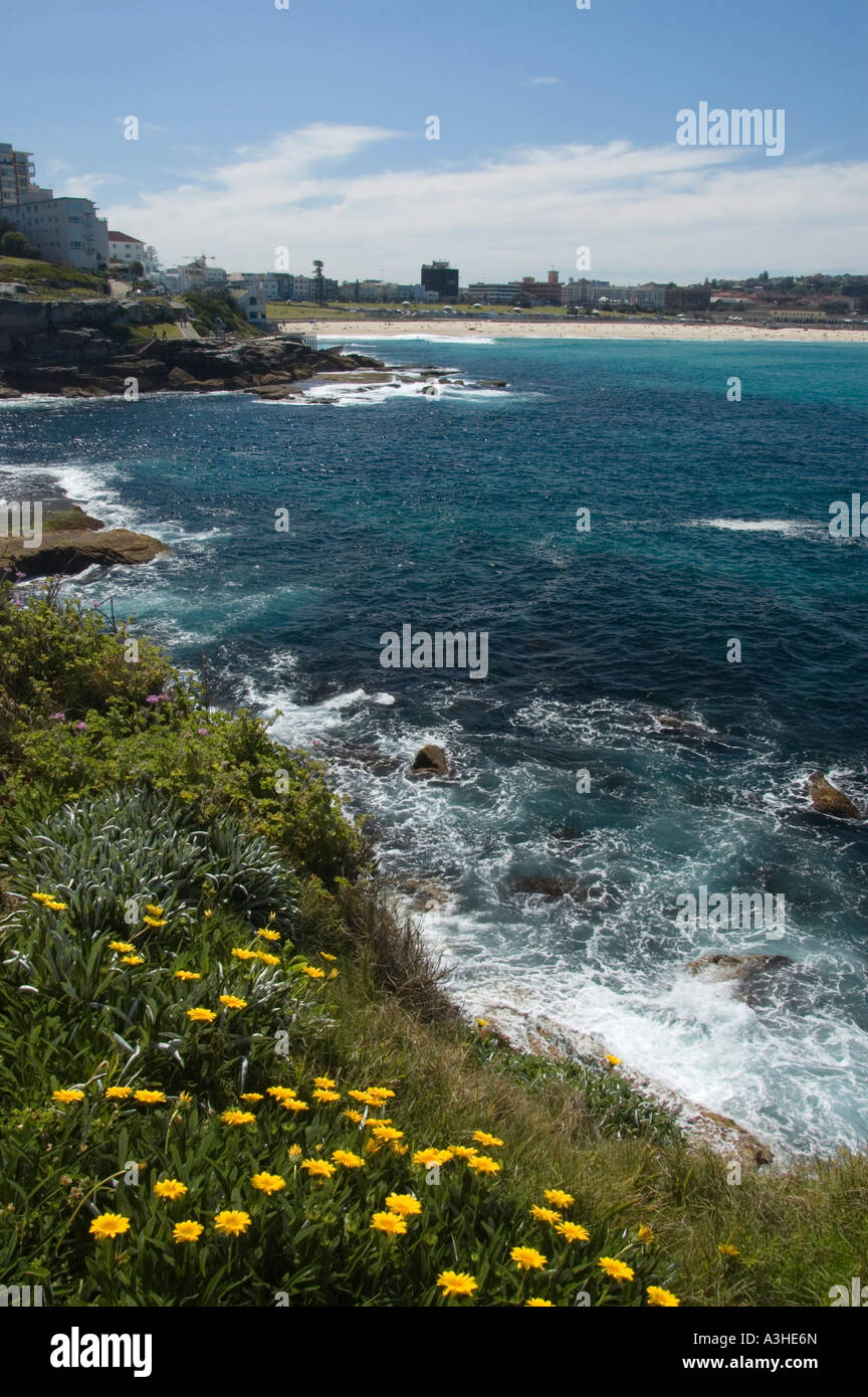 La spiaggia di Bondi dal punto di coniugi Mackenzie Sydney Australia Foto Stock