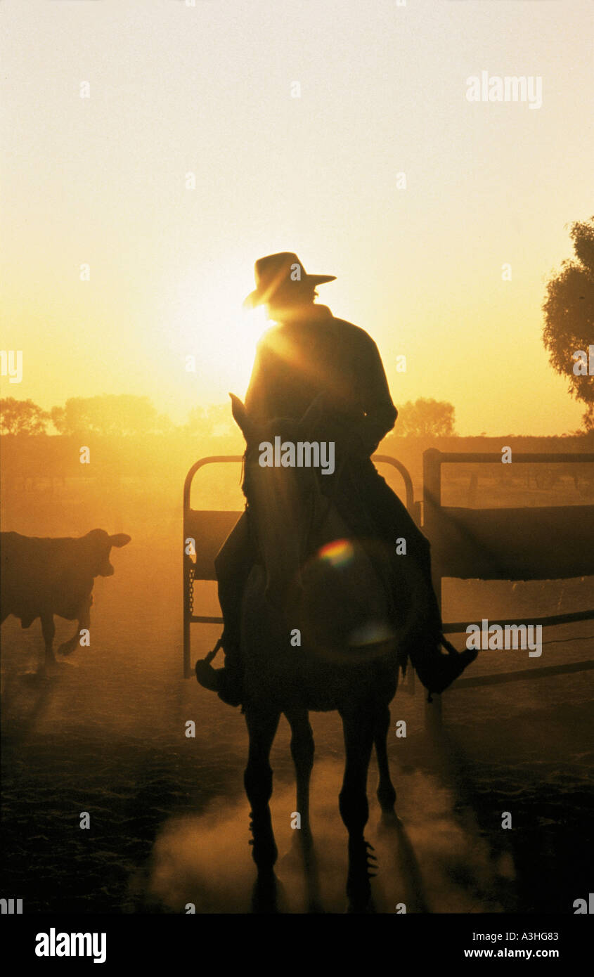 Ritratto di bovini drover al tramonto stato di Queensland in Australia Foto Stock
