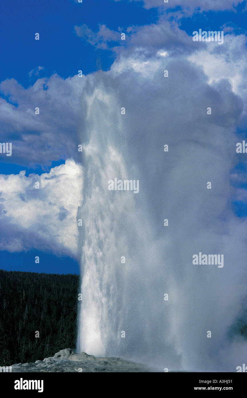 Geyser old fidato yellowstone nationalpark stato del Wyoming usa Foto Stock