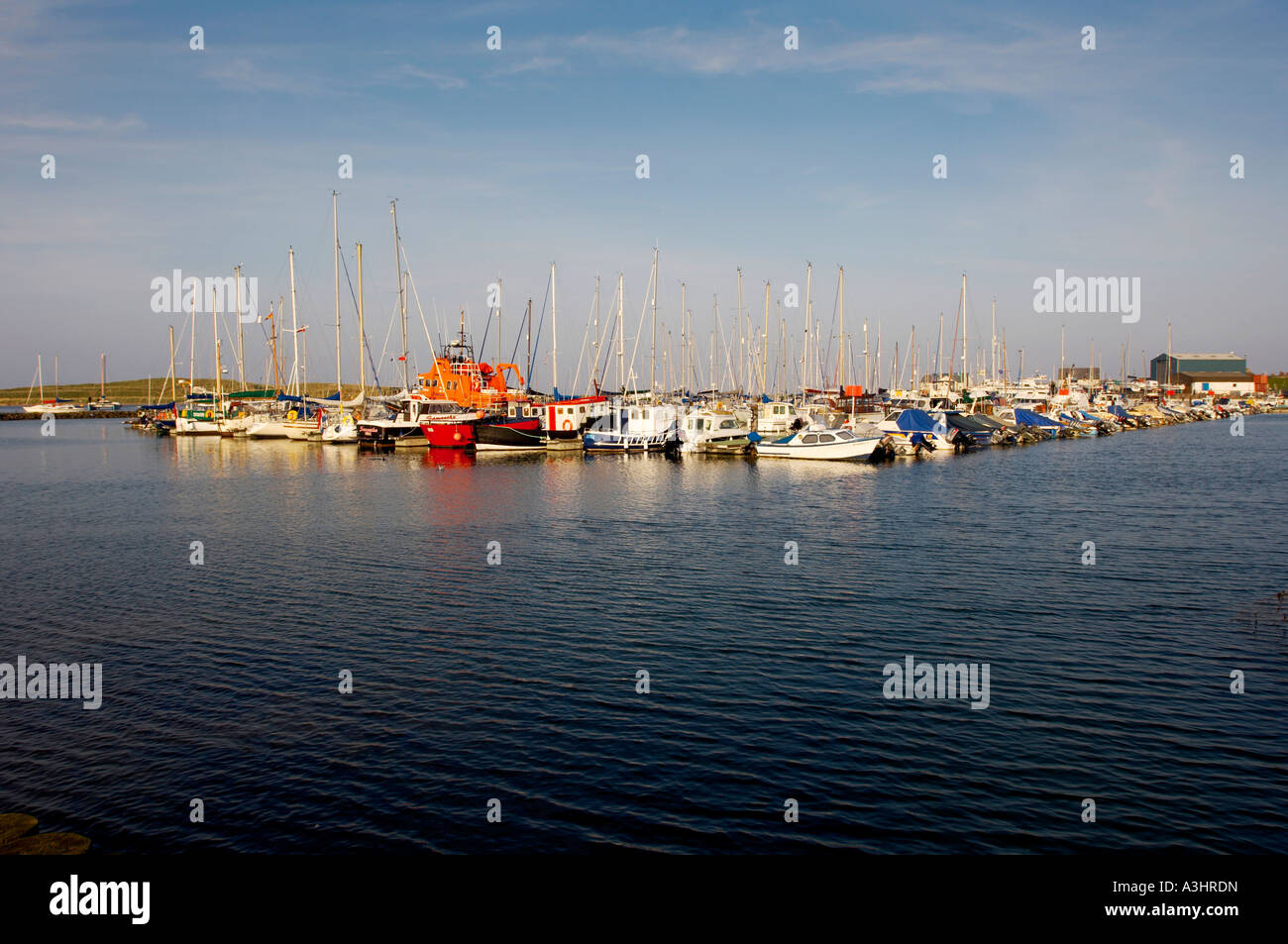 Barche ormeggiate a Amble Marina Northumberland, Regno Unito Foto Stock