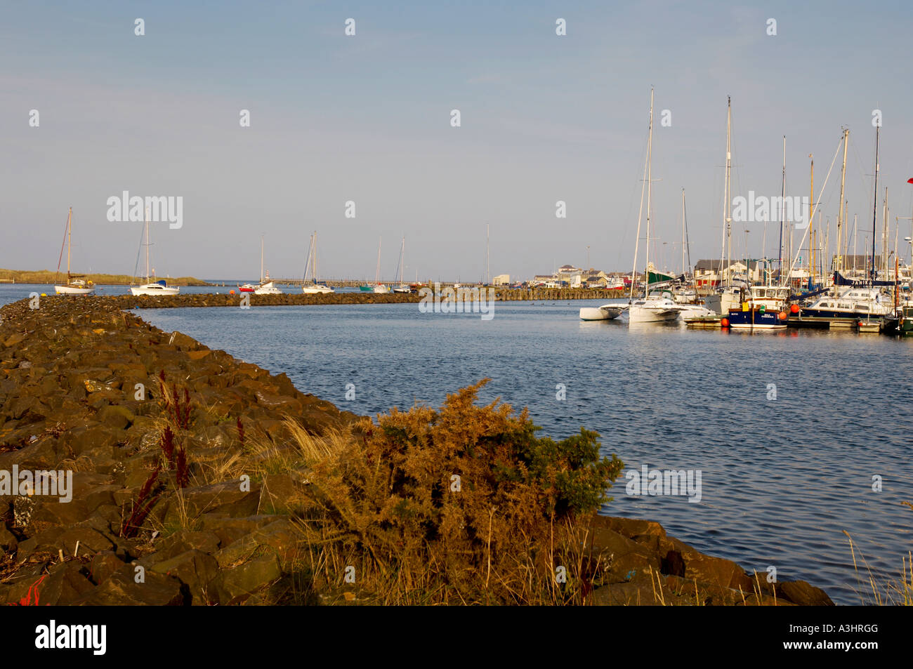Barche ormeggiate a Amble Marina, Northumberland, Regno Unito Foto Stock
