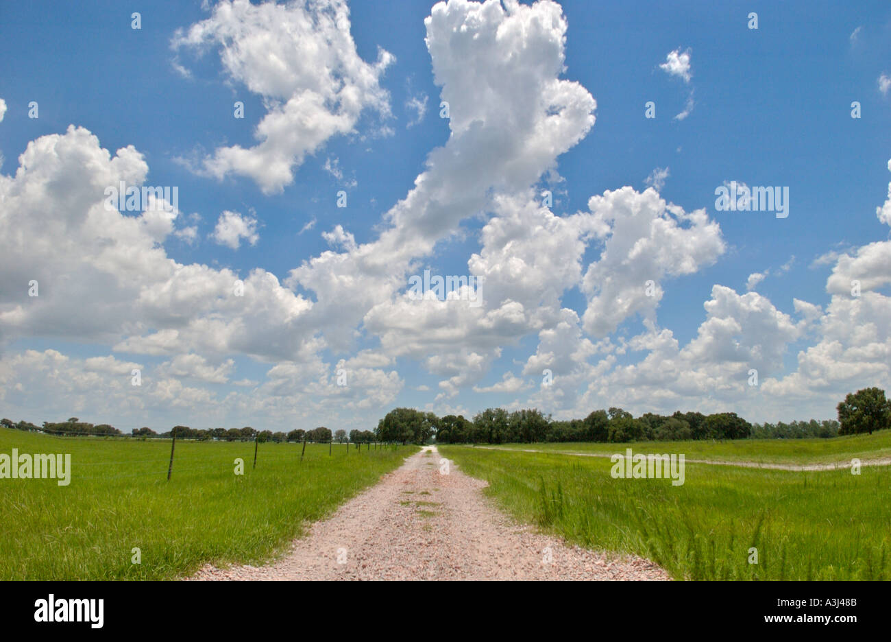 Strada di argilla e bianco cumulus nuvole e erba verde Foto Stock
