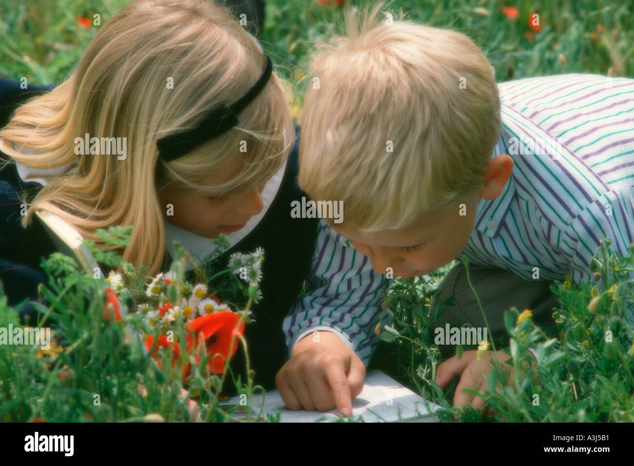 Fratello e Sorella di lettura sul prato fiorito Foto Stock