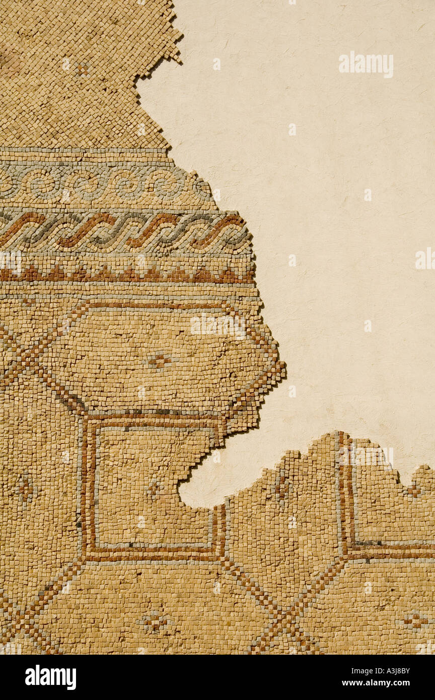 Pavimento a mosaico presentano al Rockefeller Museum di Gerusalemme Est Israele Foto Stock