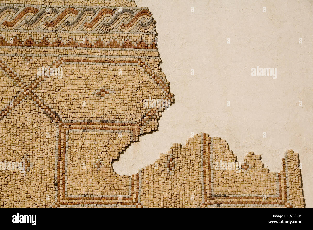 Pavimento a mosaico visualizzati al Rockefeller Museum di Gerusalemme est che ospita reperti trovati in Palestina mandataria nel 1920-30s. Israele Foto Stock