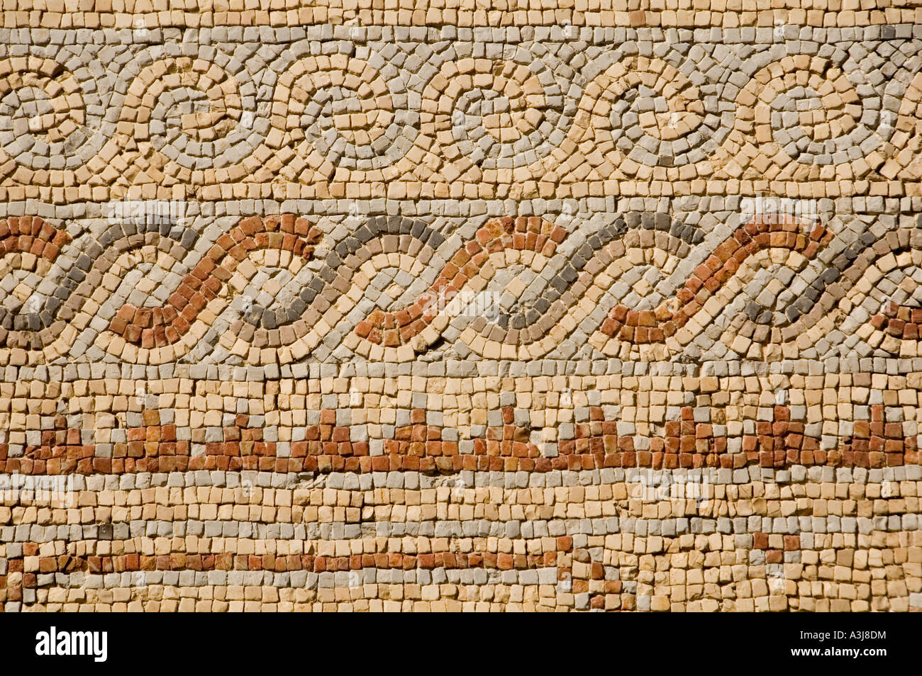Pavimento a mosaico visualizzati al Rockefeller Museum di Gerusalemme est che ospita reperti trovati in Palestina mandataria nel 1920-30s. Israele Foto Stock