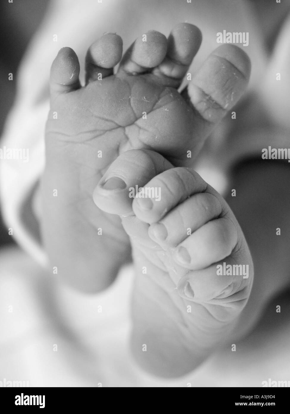 Po stropicciato piedi del bambino di un neonato fotografato circa quindici minuti dopo la nascita Foto Stock