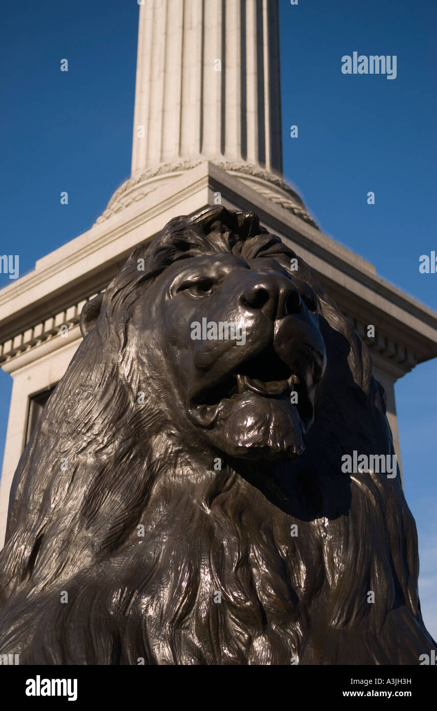 Statua di Lion e Nelson Colonna s Trafalgar Square London REGNO UNITO Foto Stock