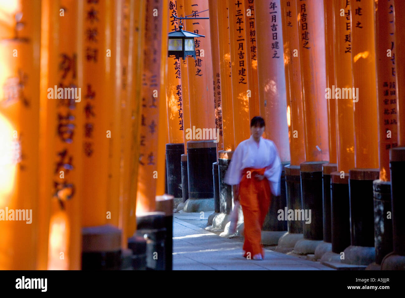 Tori Gates Fushimi Inari santuario giapponese di Kyoto Foto Stock