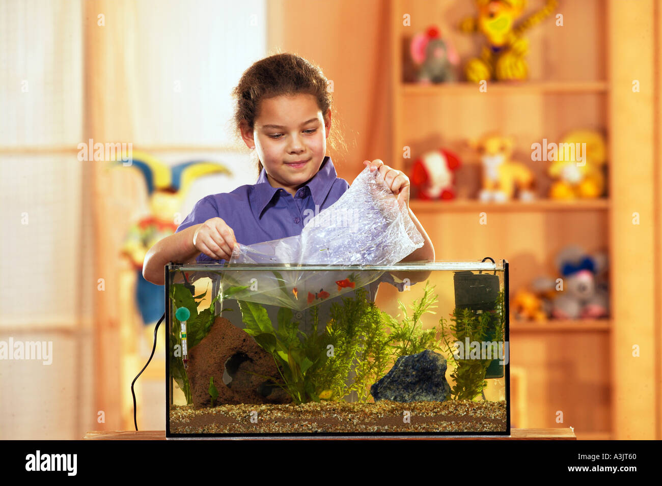 Ragazza mettendo i pesci in un acquario Foto Stock