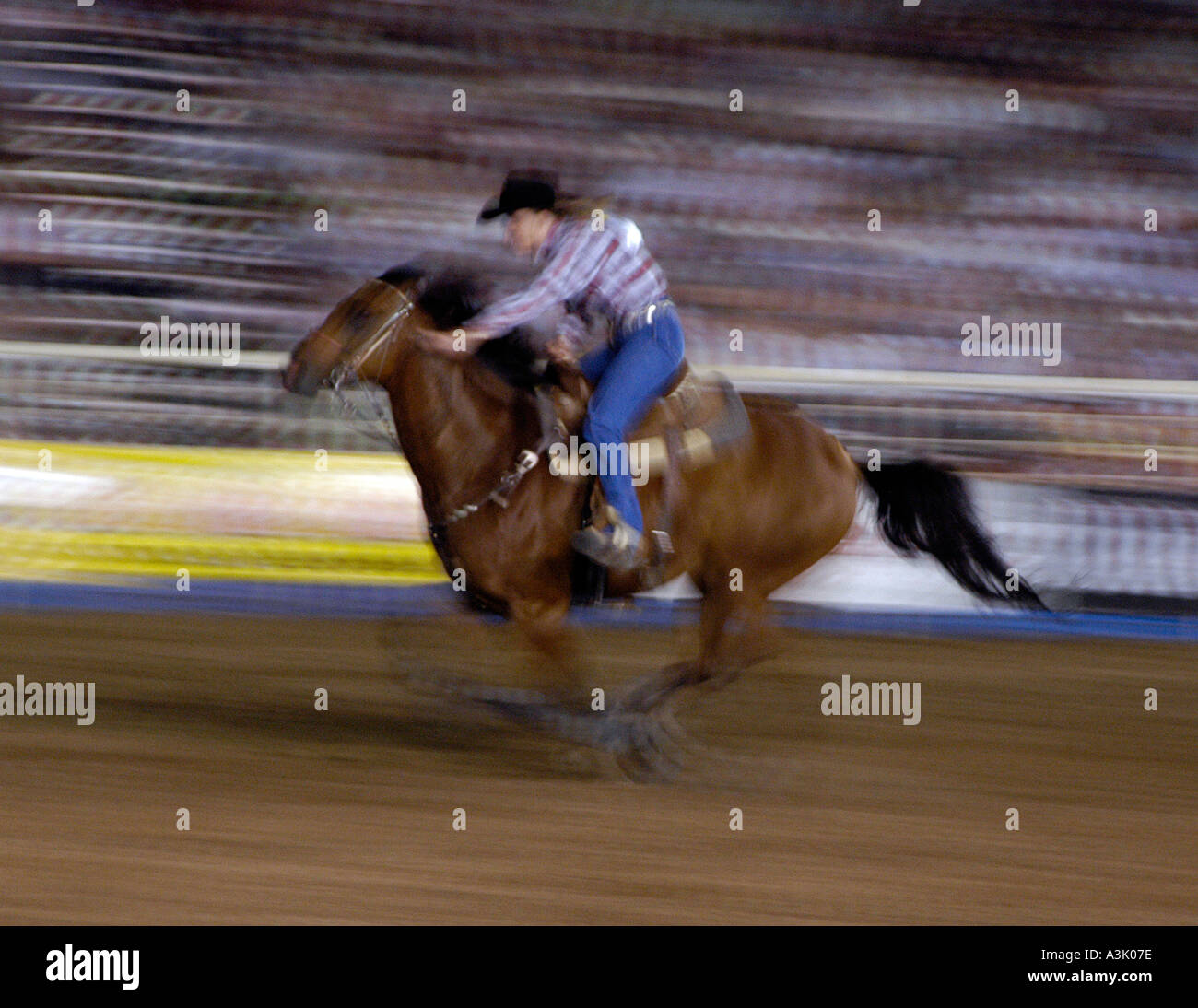 Cowboy a cavallo a un Rodeo in primaverile USA Utah Foto Stock