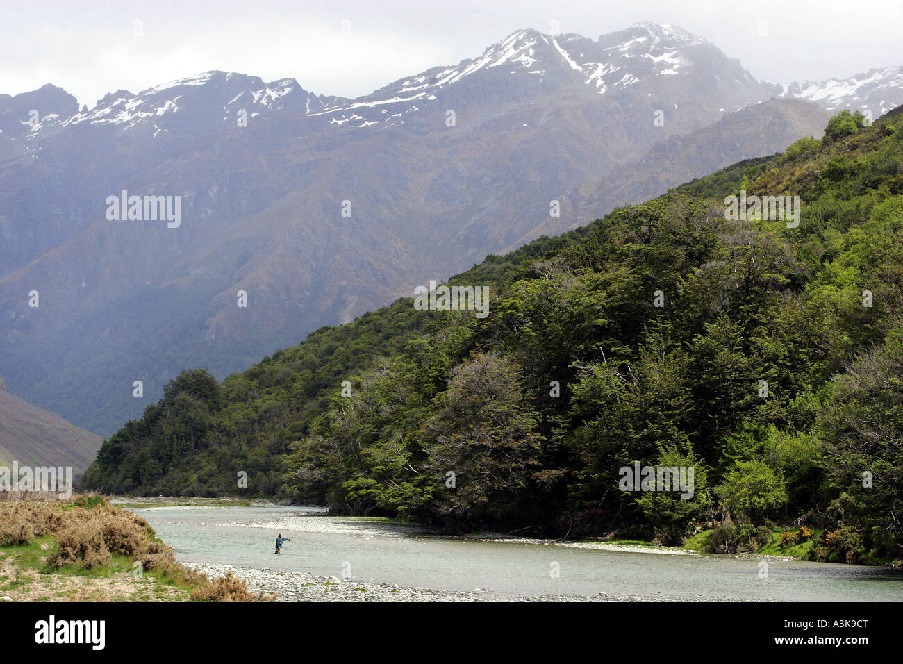 Il fiume Lochy, vicino a Queenstown Nuova Zelanda uno dei migliori fiumi al mondo per la pesca a mosca Foto Stock