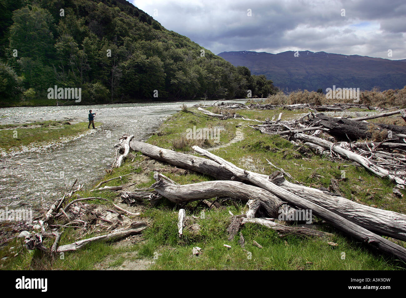 Il fiume Lochy, vicino a Queenstown Nuova Zelanda uno dei migliori fiumi al mondo per la pesca a mosca Foto Stock