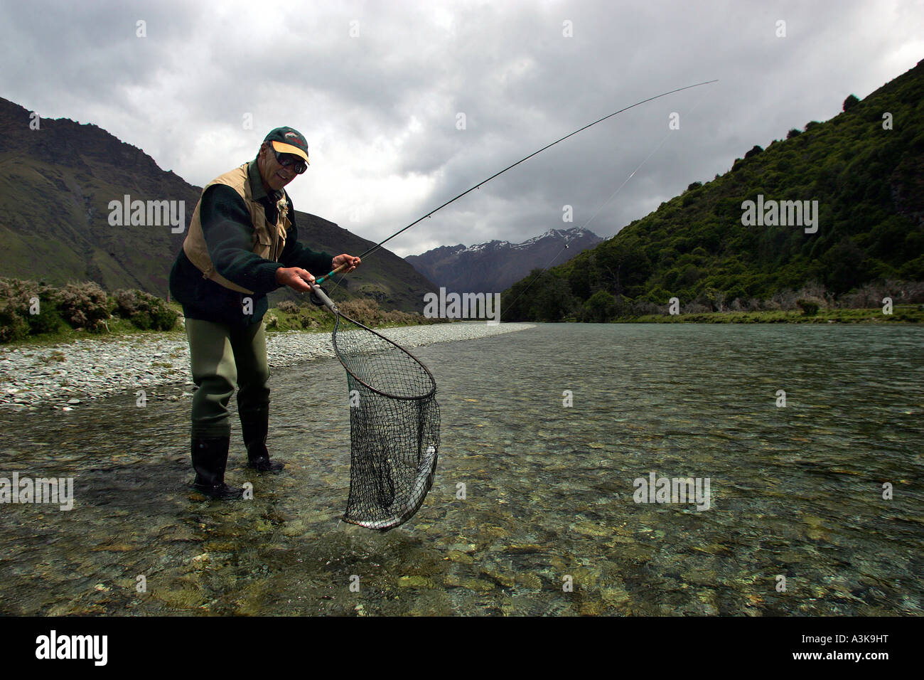 Un salmone è catturato nel fiume Lochy, vicino a Queenstown Nuova Zelanda uno dei migliori fiumi al mondo per la pesca a mosca Foto Stock