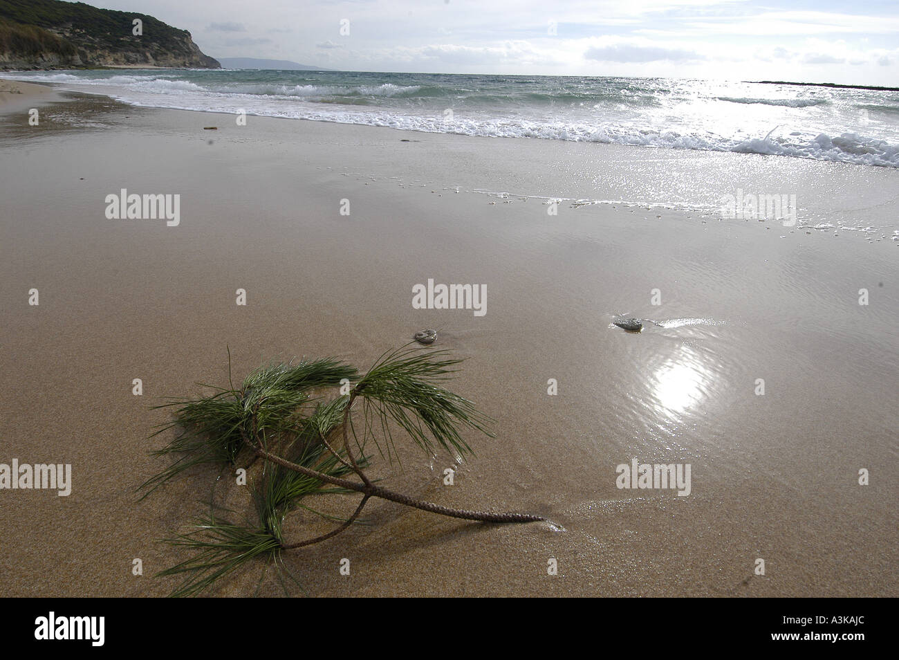 Roche Capo Faro Cadice Spagna Europa El Palmar e spiaggia di Zahora Breña Parco naturale e Barbate Marismas zone umide ocea mare Foto Stock