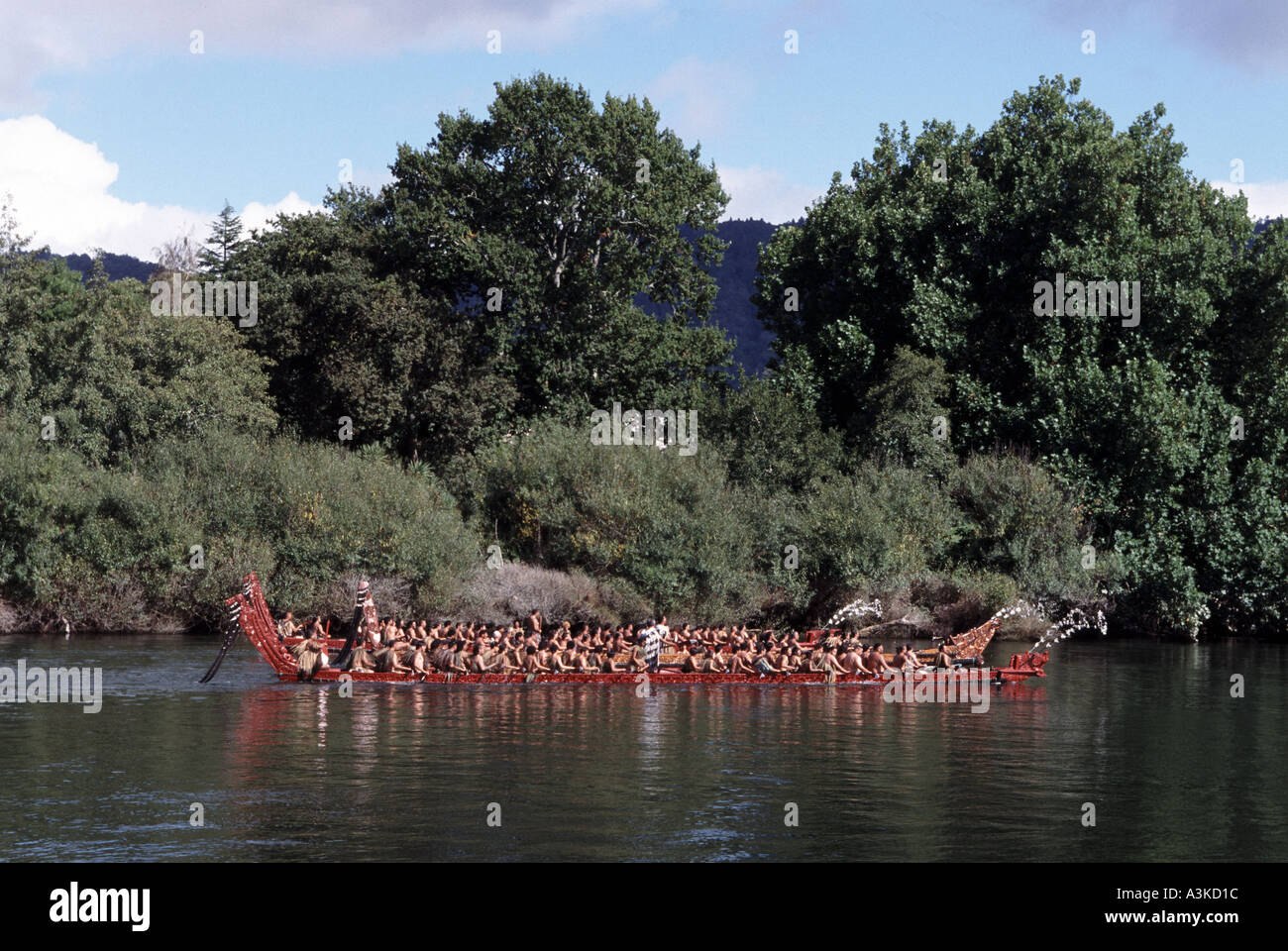 Ngaruawahia Regata Maori. Isola del nord, Nuova Zelanda Foto Stock